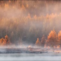 Пробуждение :: Влад Соколовский