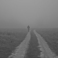 дорогой в туман :: Седа Ковтун