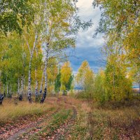 Дорога в осень :: Любовь Потеряхина