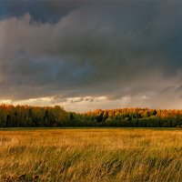 Я так люблю осенний лес - над ним сияние небес... © :: Александр Никитинский