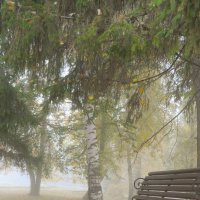 Утренний туман в осеннем парке :: Сергей Тагиров