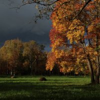 Осень в Пушкине. :: виктория Скрыльникова