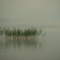 Утро на озере Иткуль. :: михаил суворов