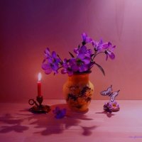 Цветы, свеча, бабочка :: Nina Yudicheva