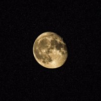 Луна :: Михаил Вандич