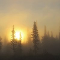 Солнце выкатилось из тумана :: Сергей Чиняев 