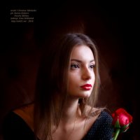"Autumn rose" - осенняя роза. Фотограф в Белгороде Руслан Кокорев. :: Руслан Кокорев