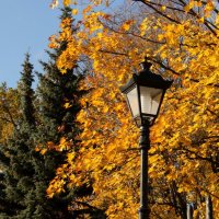 Осень в городе :: Вера Моисеева