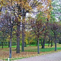 Осень в Петергофе :: alemigun 