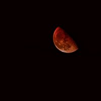 Кровавая Луна Хэллоуина :: Нина 