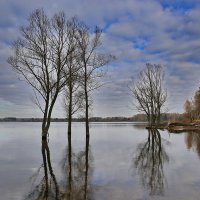 Осень :: галина северинова