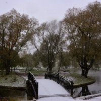Первый снег в осеннем парке... :: Витас Бенета