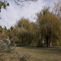 Осень в городе :: Александр Грищенко