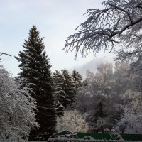 Первый снег :: Liubov Garkusha