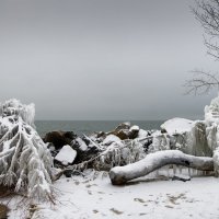 Хмурое октябрьское утро. :: Александр Гурьянов