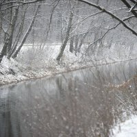 Первый снег :: Александр Колесников