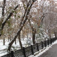Первый снег :: Наталья Кочетова 