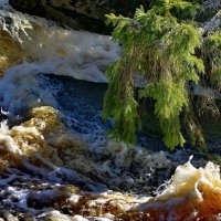 Бурная весна на реке Саркойоки... :: Владимир Ильич Батарин