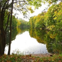 Парковый пруд в начале октября :: Маргарита Батырева