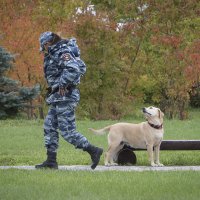 Вернись, я все прощу! :: Виталий Латышонок