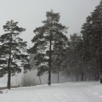 Снегопад :: Александр Исаков