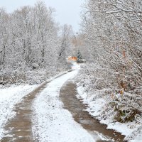 Осенняя дорога :: Вера Андреева