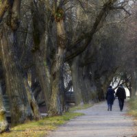 Петергофские прогулки..... :: Юрий Цыплятников