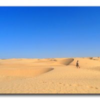 Сахара. :: Чария Зоя 