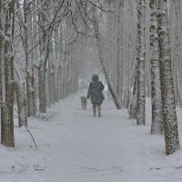 Метель :: Надежда Баликова