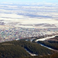 рукотворный лес белокурихи :: Анатолий Беляев