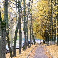 ОСЕНЬ :: Владимир Холодницкий