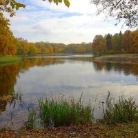 Деревья пестрою стеной стоят вокруг осеннего пруда :: Маргарита Батырева