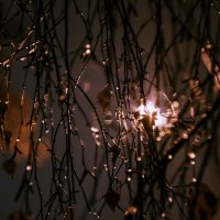 Осень ,ночь ,фонарь :: Николай Фролов