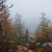 осень в горах, как одно волшебство :: Elena Wymann