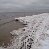 Побережье Финского залива :: veera v