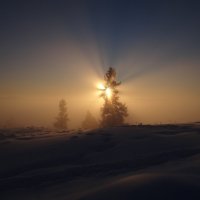 Туман и солнце, день чудесный... :: Геннадий Г.