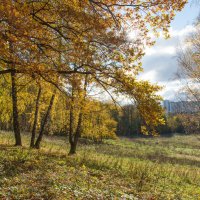 Осень в усадьбе Братцево :: Владимир Безбородов