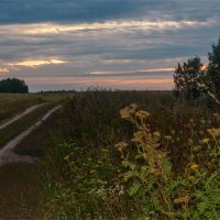 Дорога к закату :: Александр Березуцкий (nevant60)