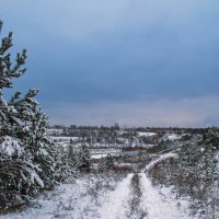 Первый снег :: Лариса Рыбакова