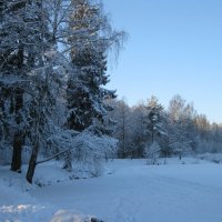 Шуваловский парк :: Лариса (Phinikia) Двойникова