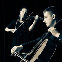 Скрипка и виолончель :: Елена Бушуева