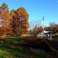 Planten un Blomen. Hamburg :: Nina Yudicheva