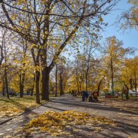 Кубанский ноябрь. :: Анатолий Щербак