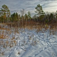 Лесной перекрёсток :: Евгений Карский