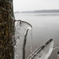 Льды. :: Алексей Сараев