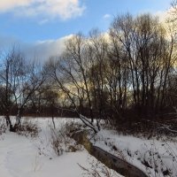 Зима. Фотограф торжествует :: Андрей Лукьянов