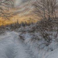 Закат в декабре :: Борис Устюжанин