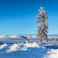 Зимой душе доступно вдохновенье... :: Юрий Харченко