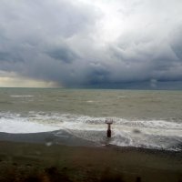шторм на Черном море :: Антонина Владимировна Завальнюк