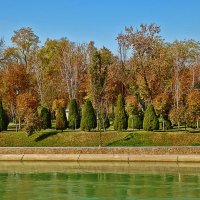 На берегу Анхора :: Светлана 